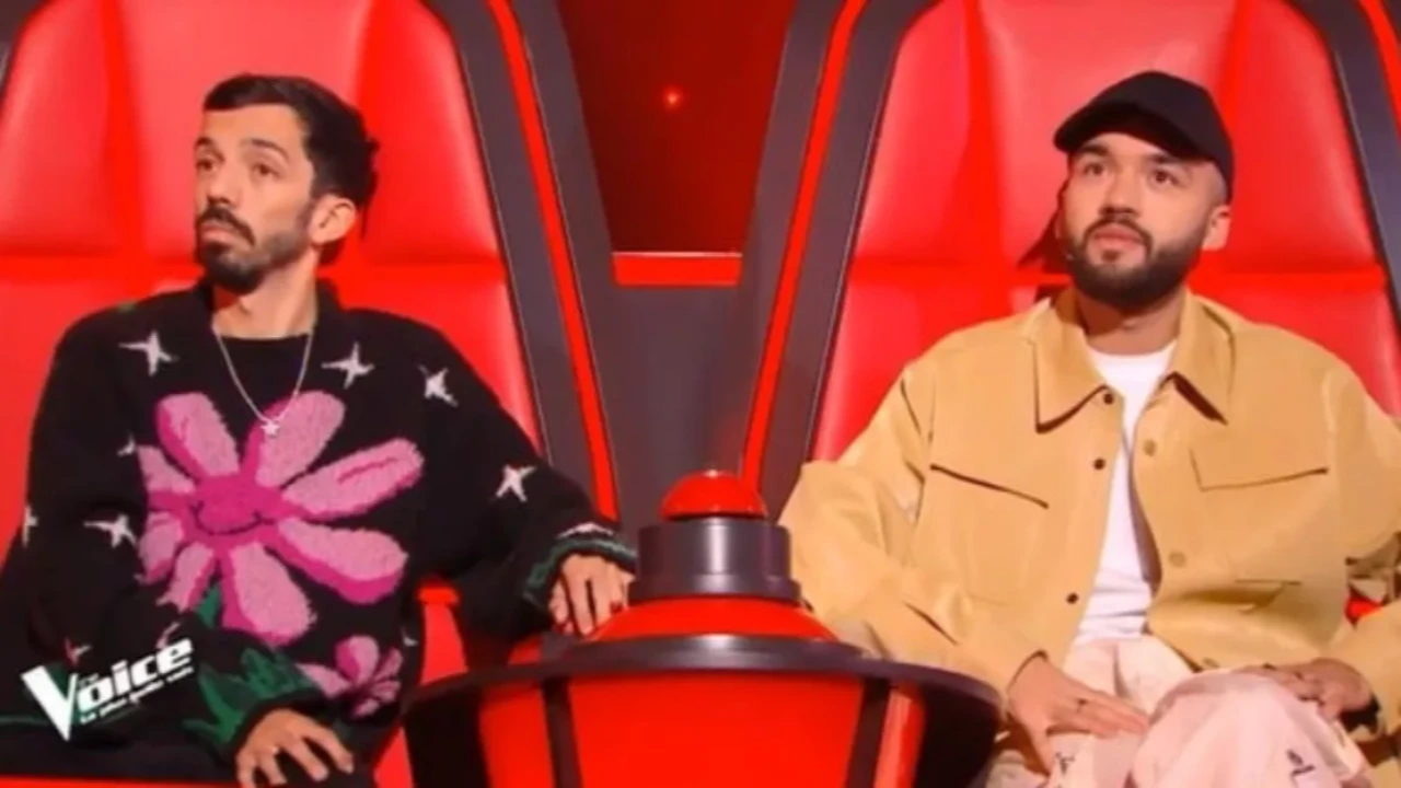 The Voice : comment Bigflo et Oli choississent leurs talents ?