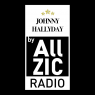 Ecouter Hommage Johnny Hallyday by Allzic en ligne